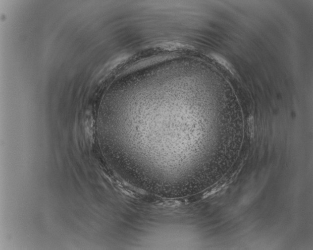 X0000066531111200603311813