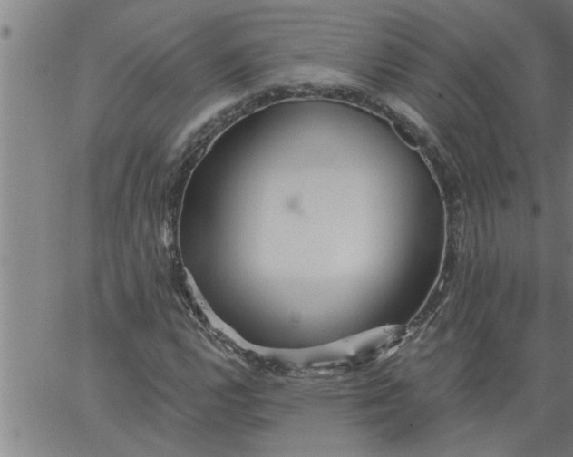 X0000066531112200603311813