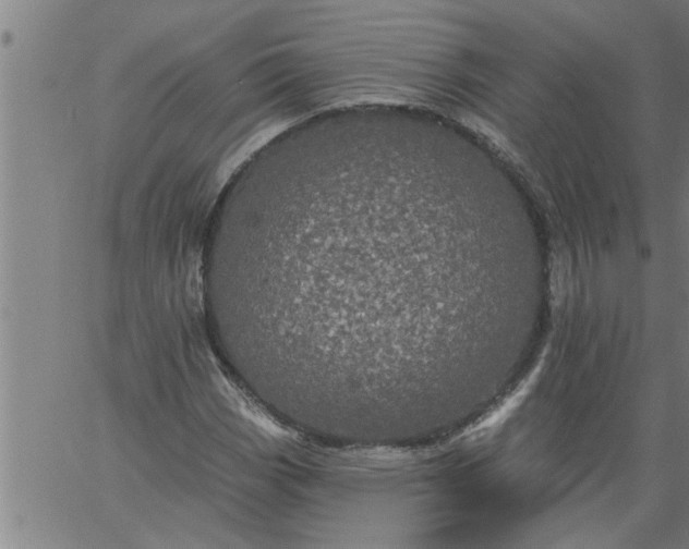 X0000066531113200603311813