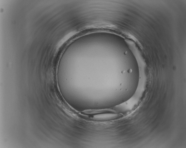 X0000066531114200603311813