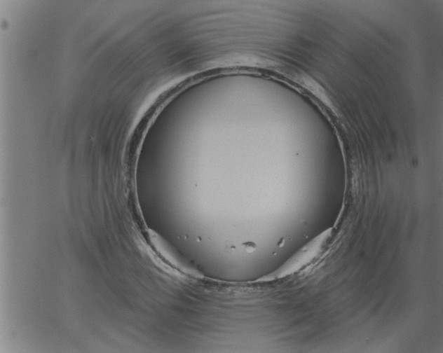 X0000066531116200603311813