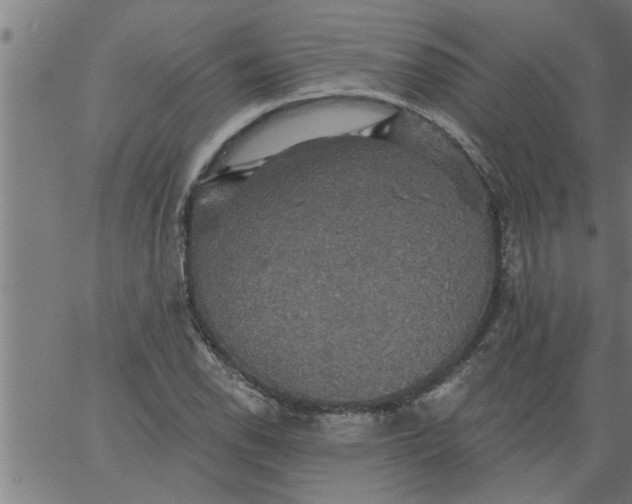 X0000066531118200603311813