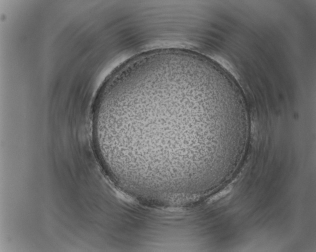 X0000066531119200603311813