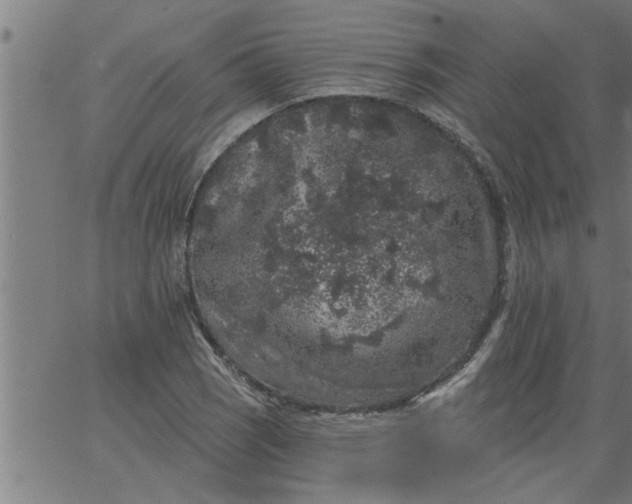 X0000066531121200603311813