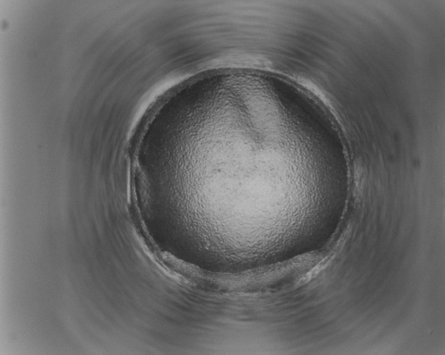 X0000066531123200603311813