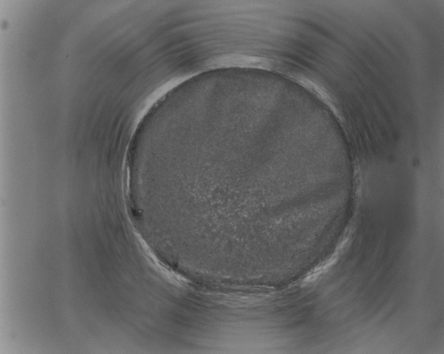 X0000066531125200603311813