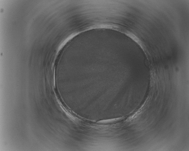 X0000066531127200603311813