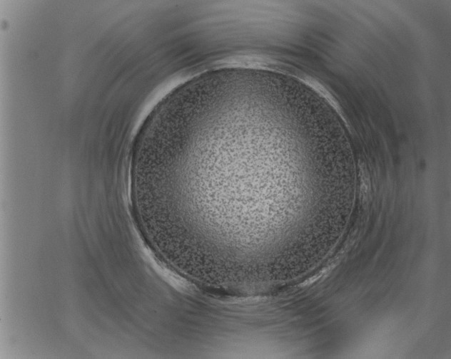 X0000066531131200603311813