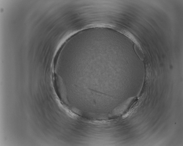 X0000066531132200603311813