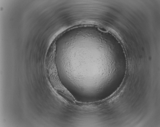 X0000066531133200603311813