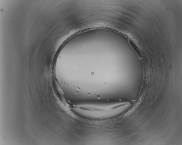 X0000066531134200603311813