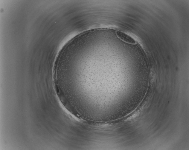 X0000066531135200603311813