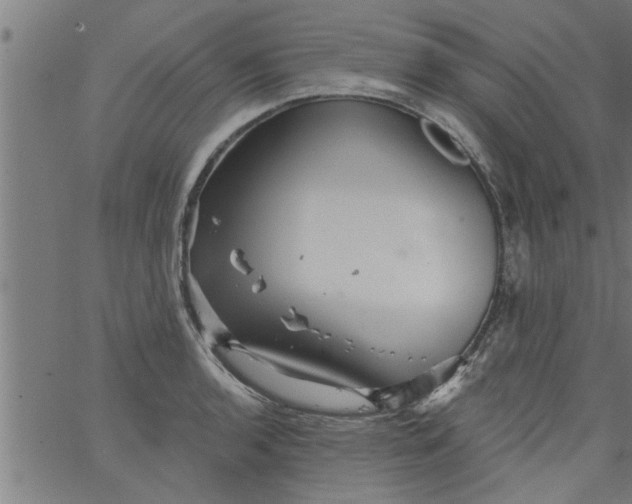 X0000066531136200603311813