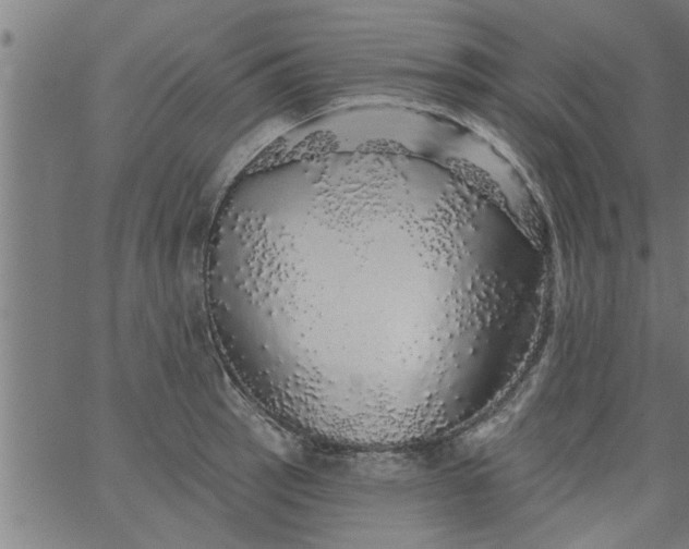 X0000066531137200603311813