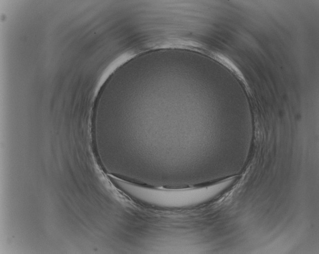 X0000066531138200603311813