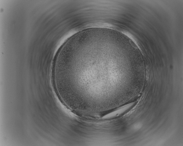 X0000066531139200603311813