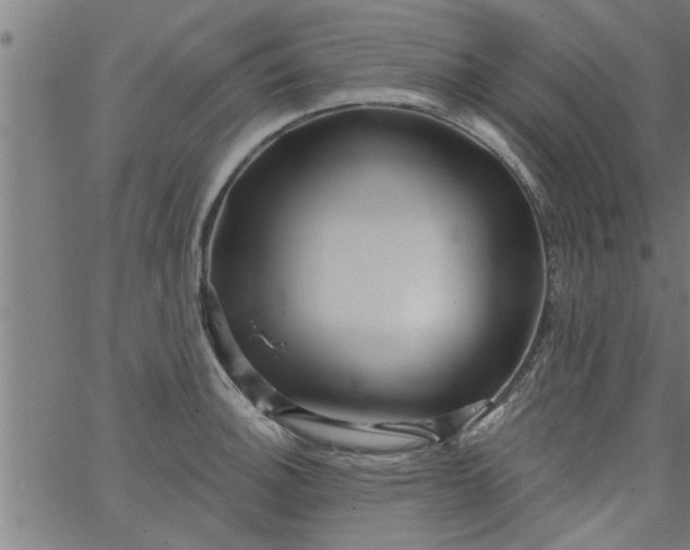 X0000066531140200603311813