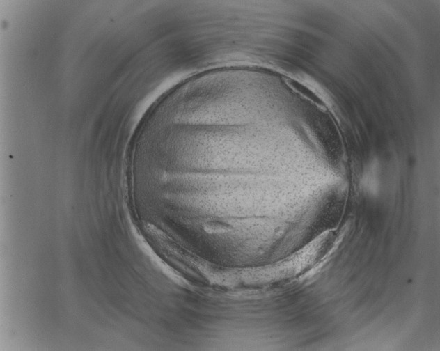 X0000066531142200603311813