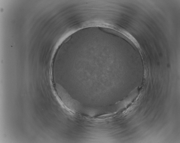 X0000066531144200603311813