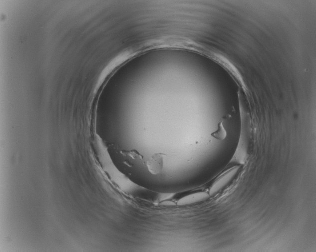 X0000066531146200603311813