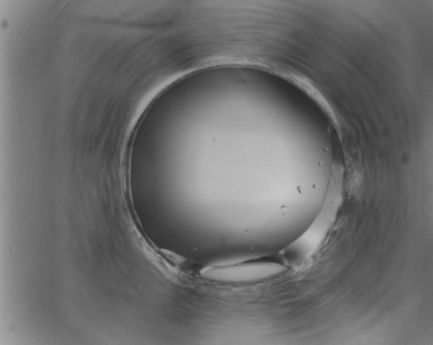 X0000066531148200603311813