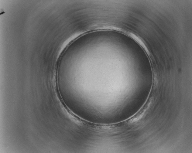 X0000066531149200603311813