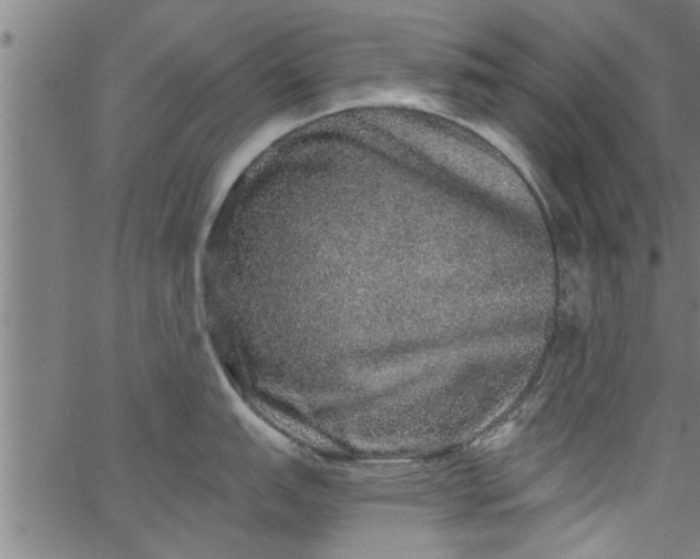 X0000066531151200603311813