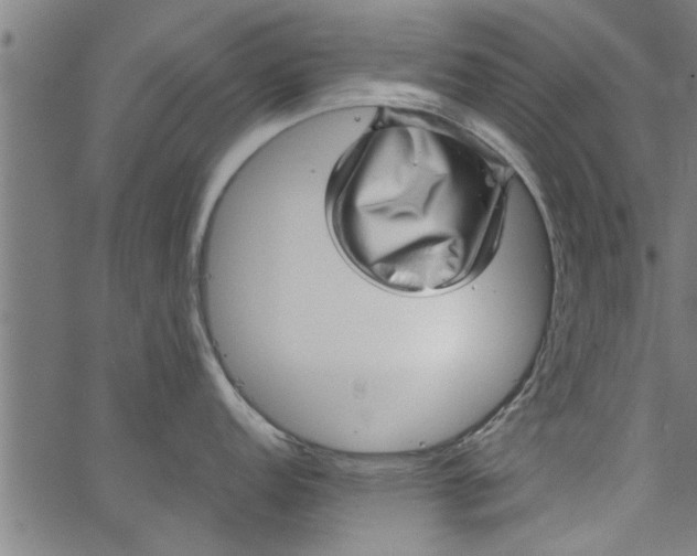 X0000066531152200603311813