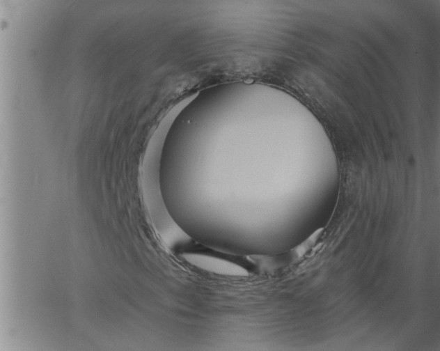 X0000066531153200603311813