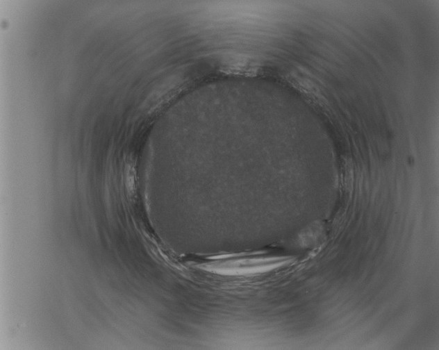 X0000066531154200603311813