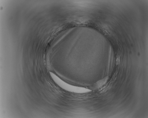 X0000066531156200603311813