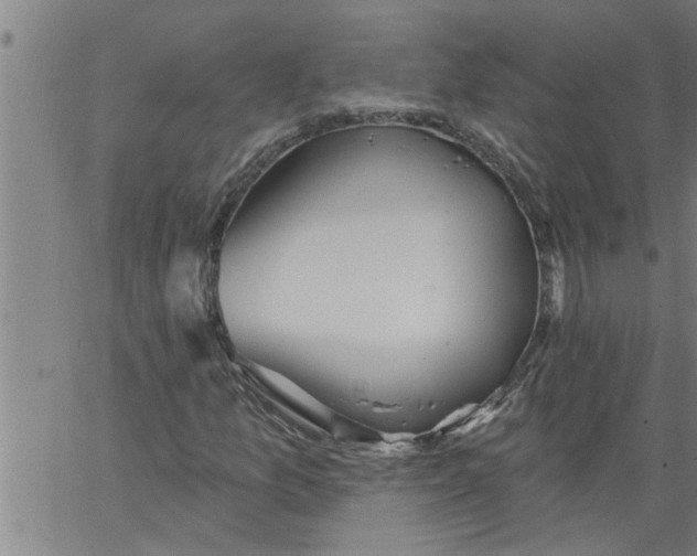 X0000066531157200603311813