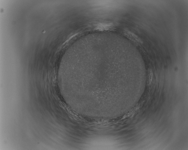 X0000066531158200603311813