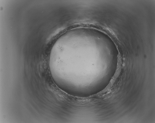 X0000066531159200603311813