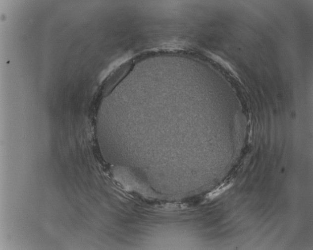 X0000066531160200603311813