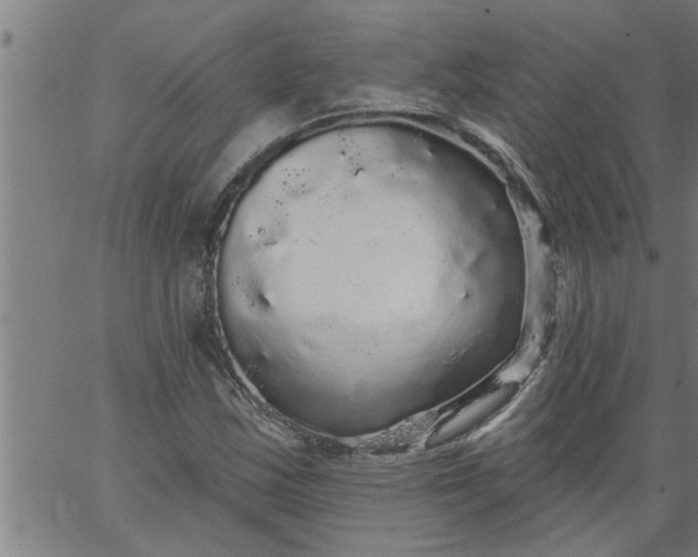 X0000066531163200603311812