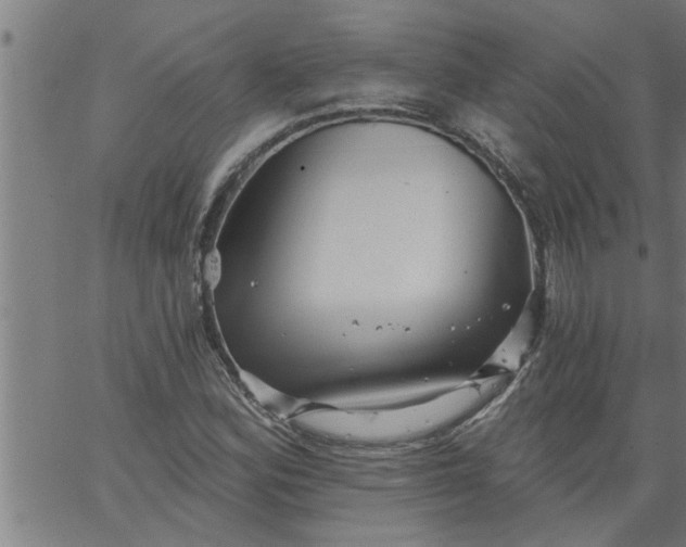 X0000066531164200603311812