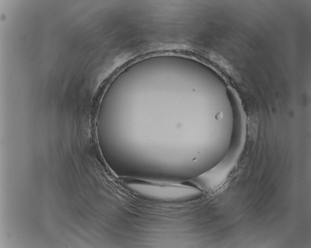 X0000066531165200603311812