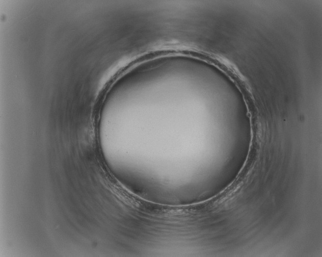 X0000066531167200603311812