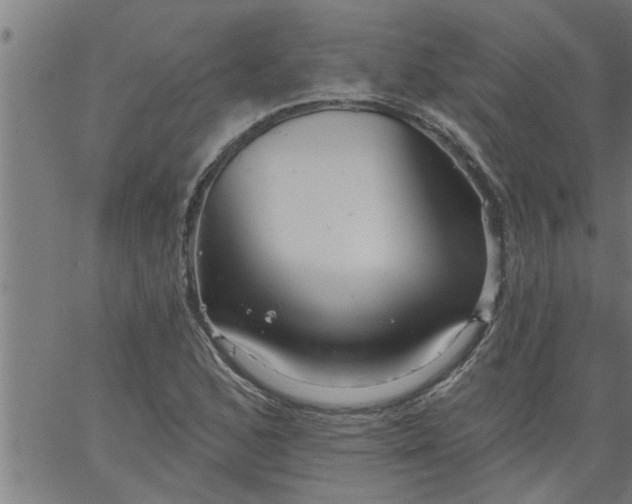 X0000066531168200603311812