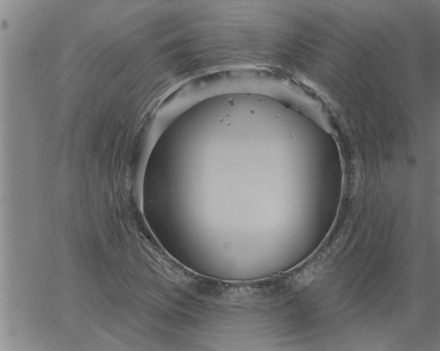 X0000066531169200603311812