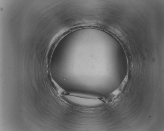 X0000066531172200603311812