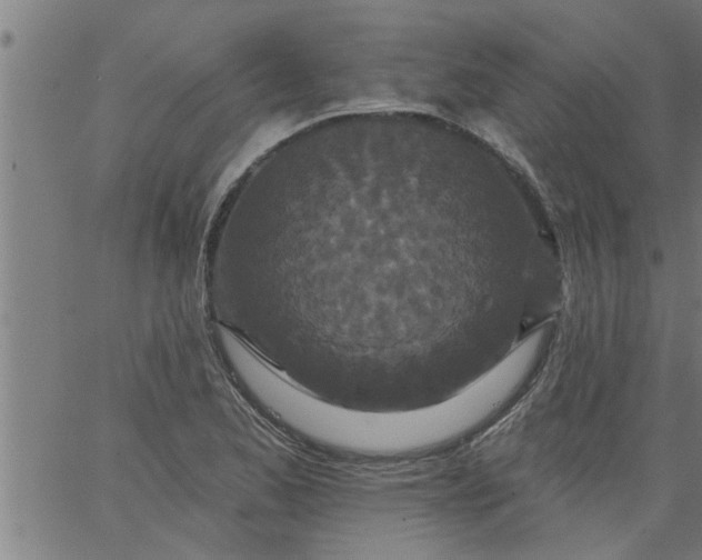 X0000066531173200603311812