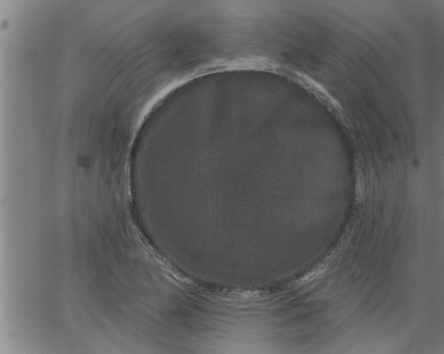 X0000066531174200603311812