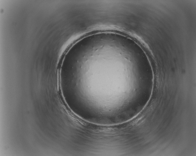 X0000066531175200603311812