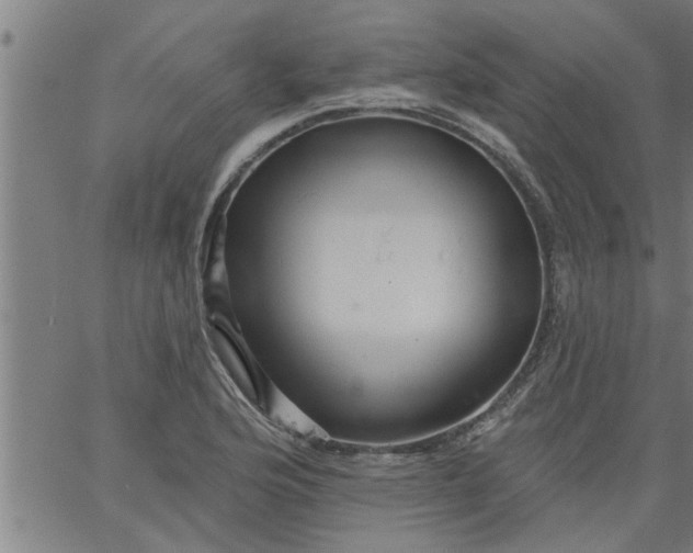 X0000066531176200603311812