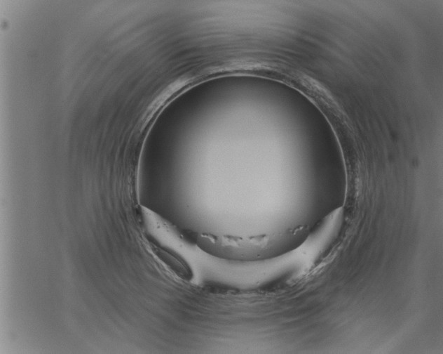 X0000066531177200603311812