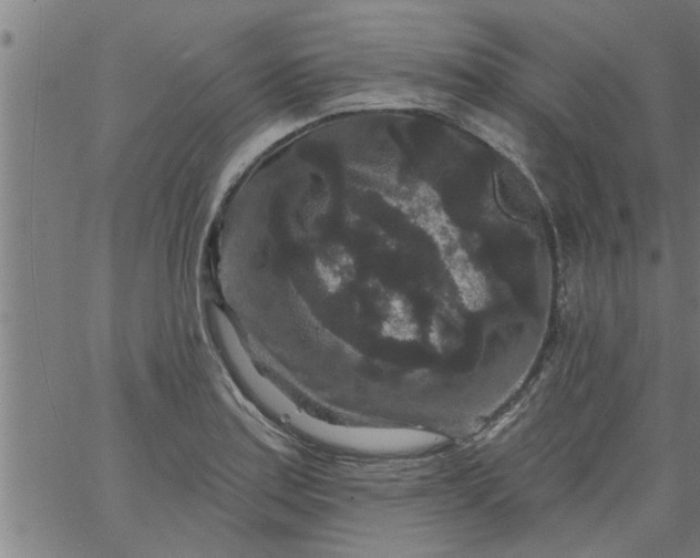 X0000066531179200603311812