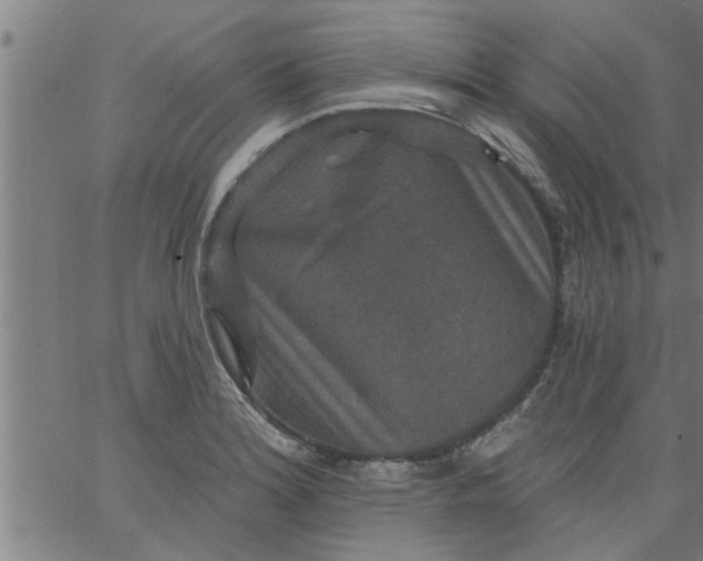 X0000066531180200603311812