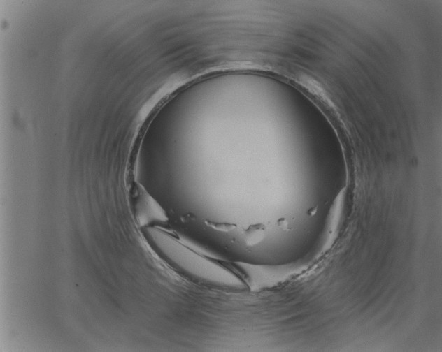 X0000066531181200603311812